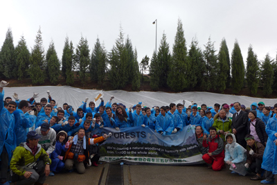 Our forestation project