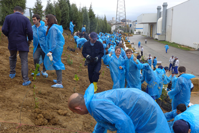 Our forestation project