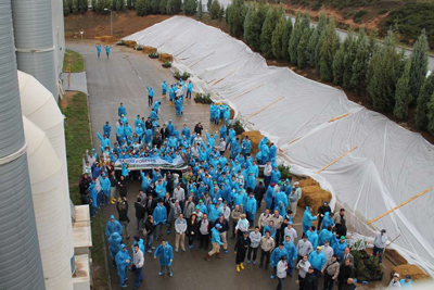 Our forestation project