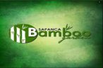 bamboo