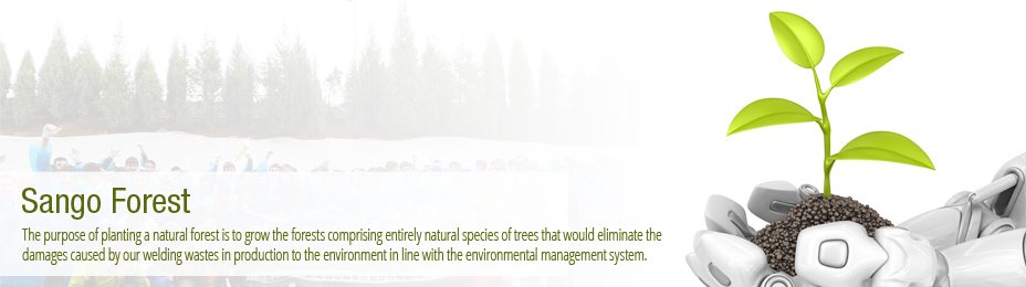 Our forestation project